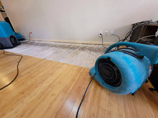 Professional Water Damage Repair technician working in San Fernando, CA